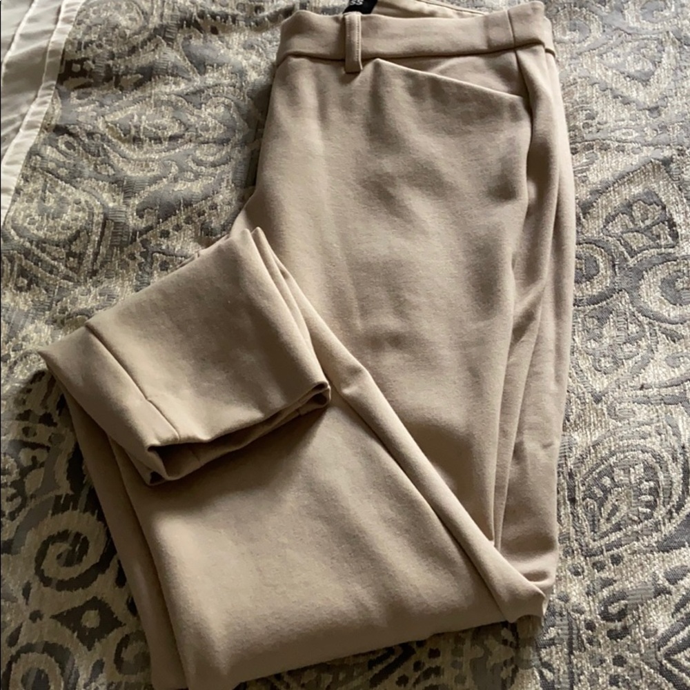 Express knit point light khaki pants